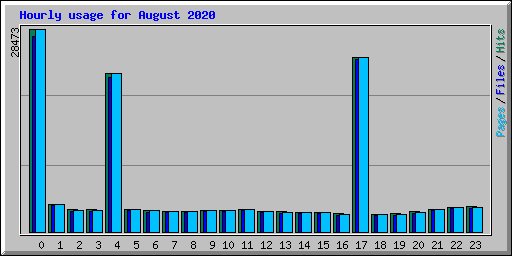 Hourly usage for August 2020