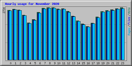 Hourly usage for November 2020