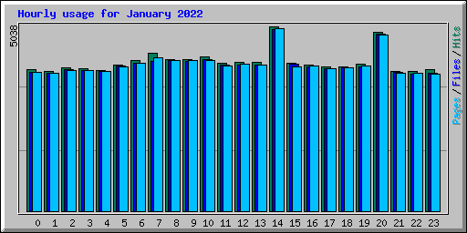 Hourly usage for January 2022