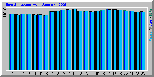 Hourly usage for January 2023